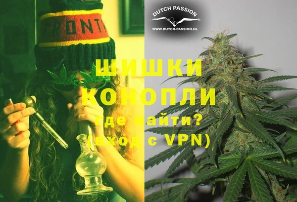 индика Апатиты