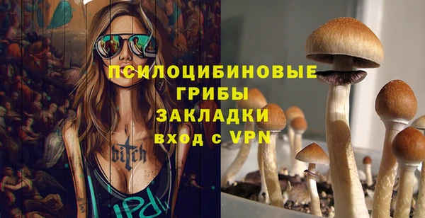 сатива Нея