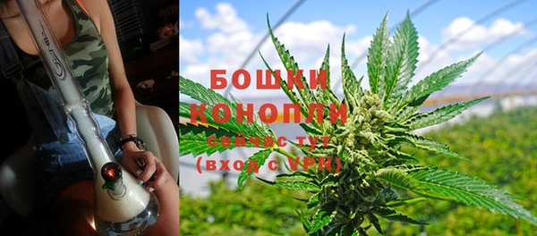 сатива Нея