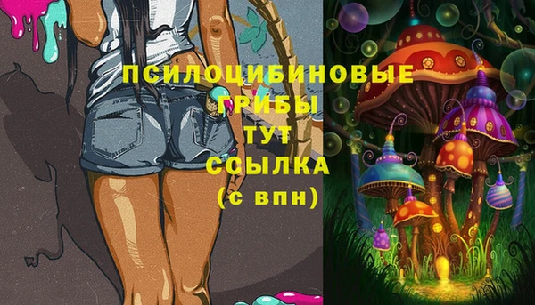 сатива Нея