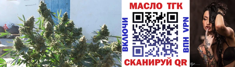 гидра tor  купить   Зубцов  нарко площадка формула  Дистиллят ТГК гашишное масло 