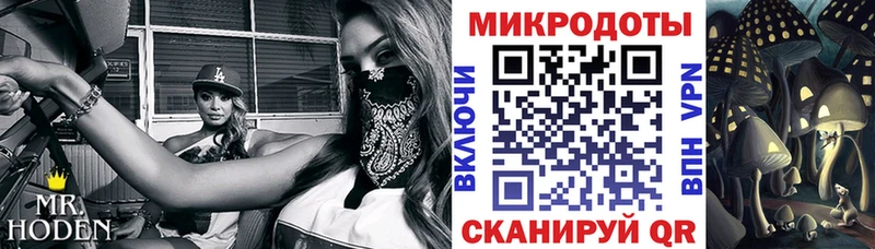 Псилоцибиновые грибы Psilocybe  Зубцов 
